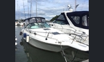 Sea Ray 270 Sundancer-kuva-7